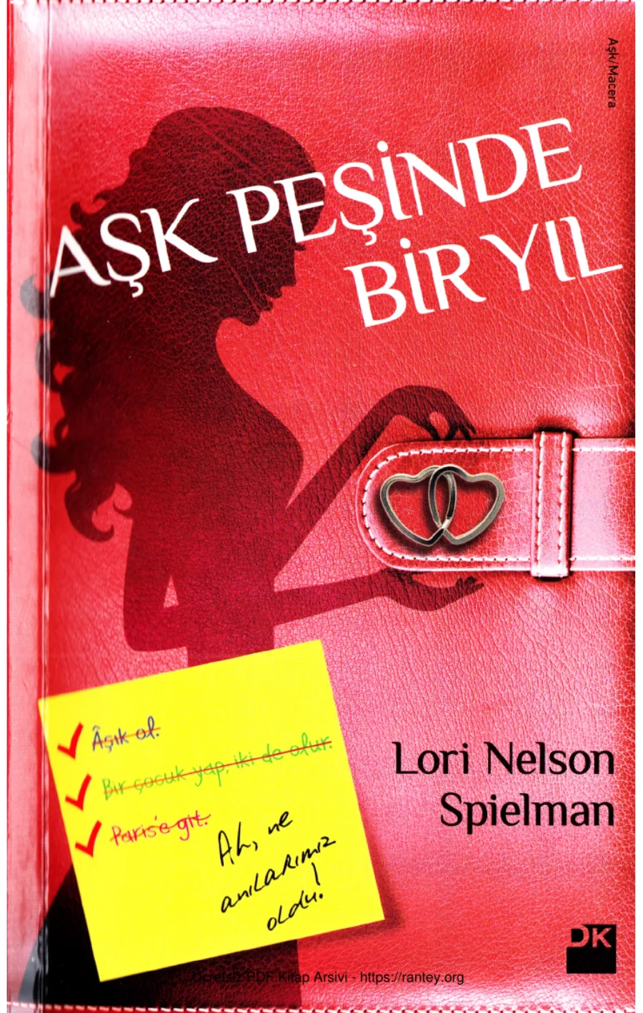 Aşk Peşinde Bir Yıl kapak görseli