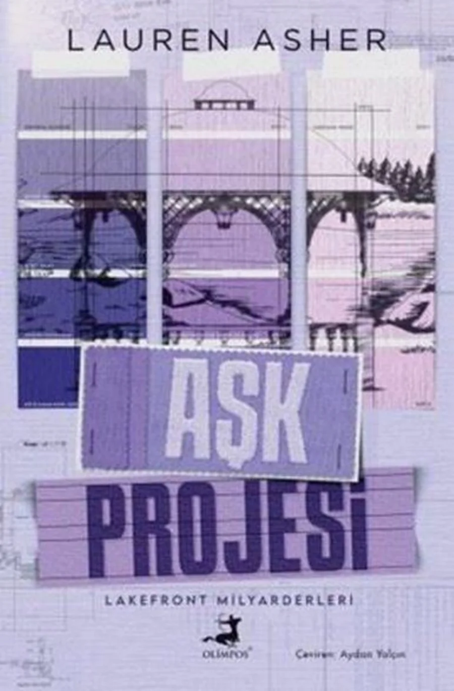 Aşk Projesi kapak görseli