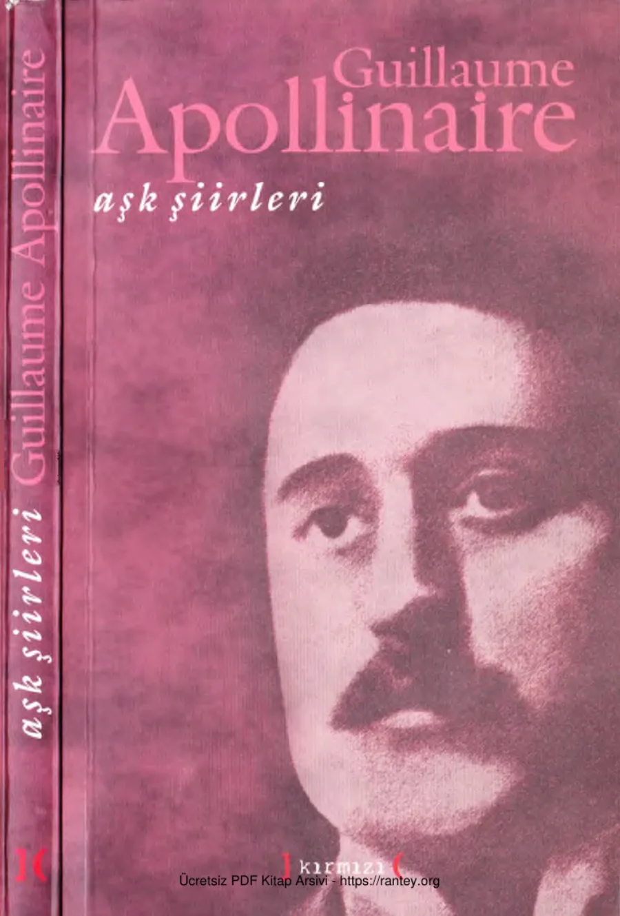 Aşk Şiirleri kapak görseli