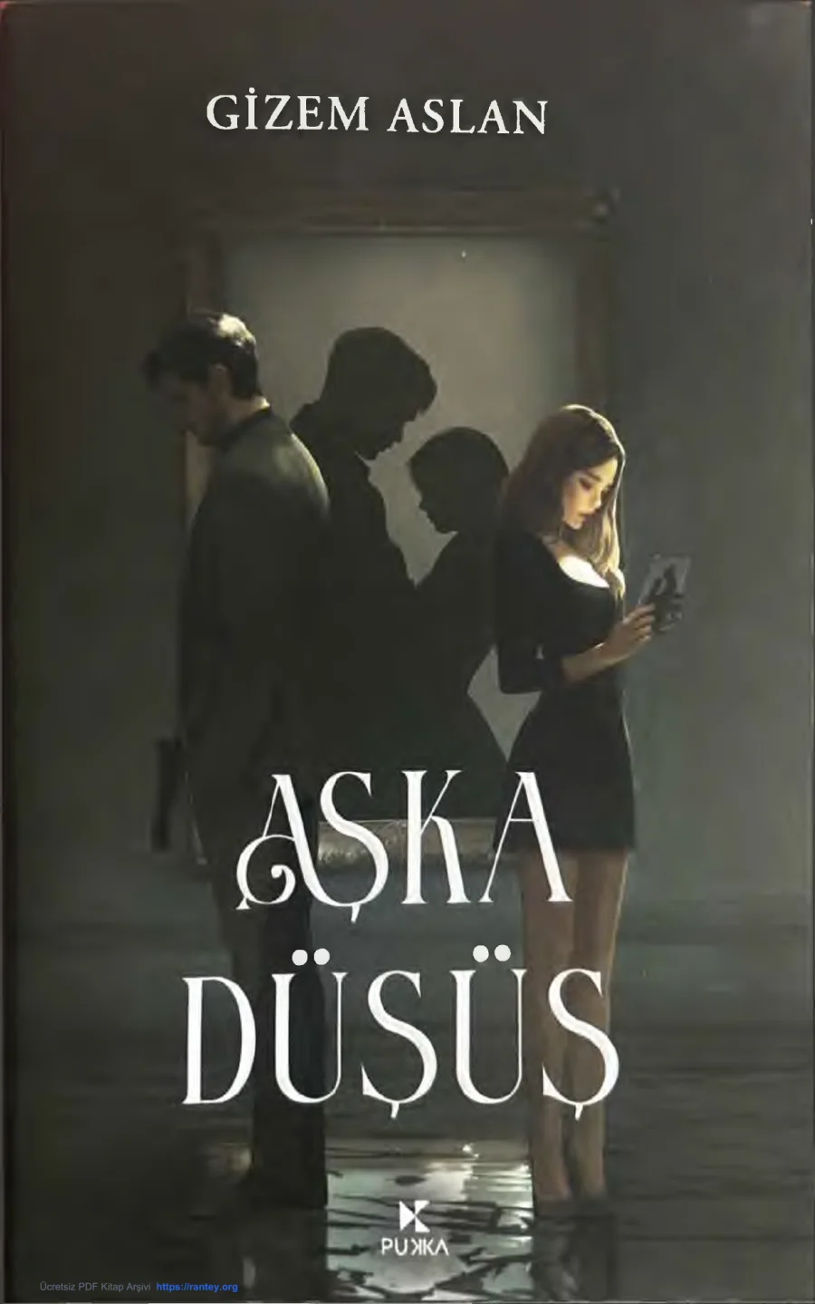 Aşka Düşüş 1 kapak görseli
