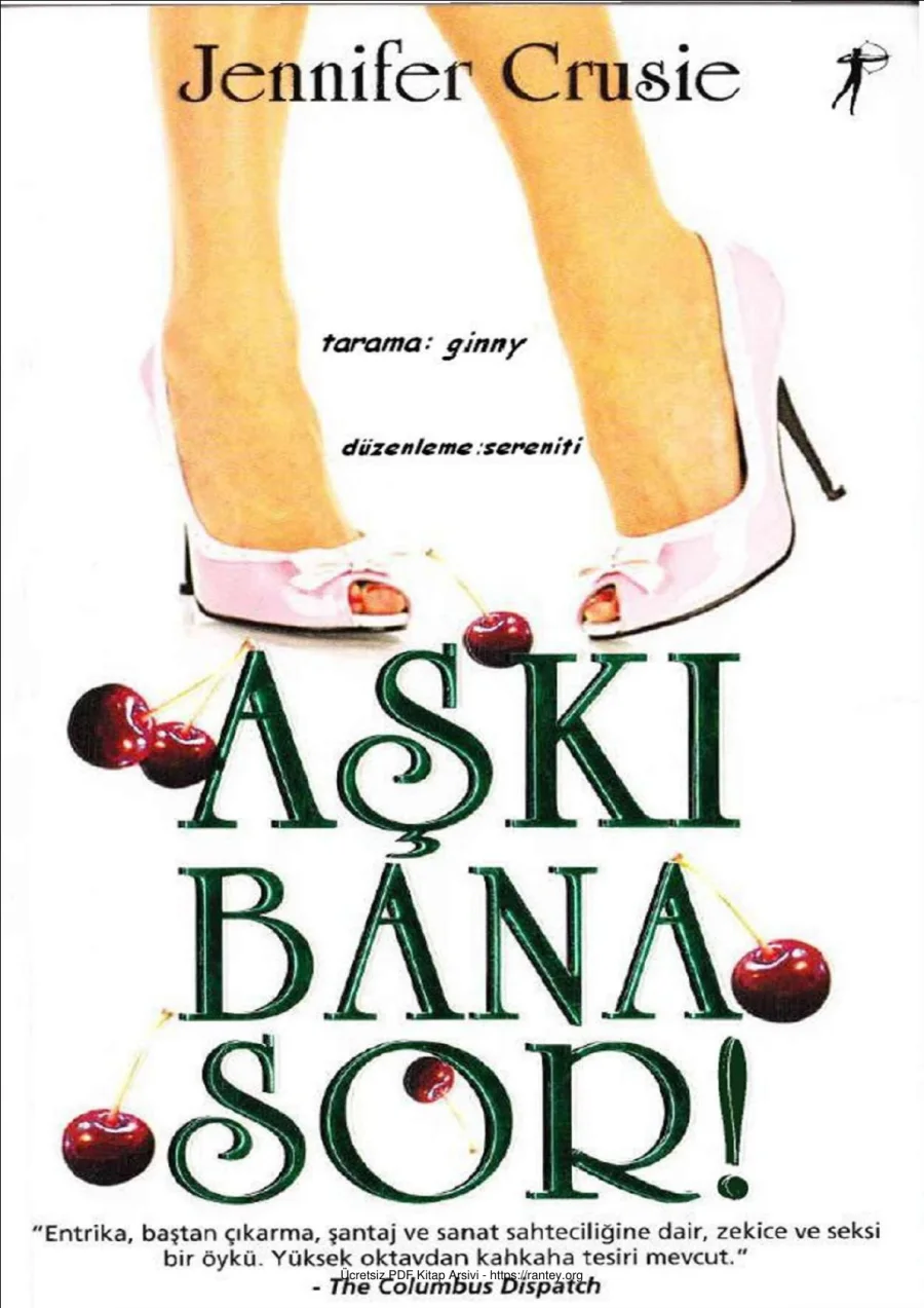 Aşkı Bana Sor kapak görseli