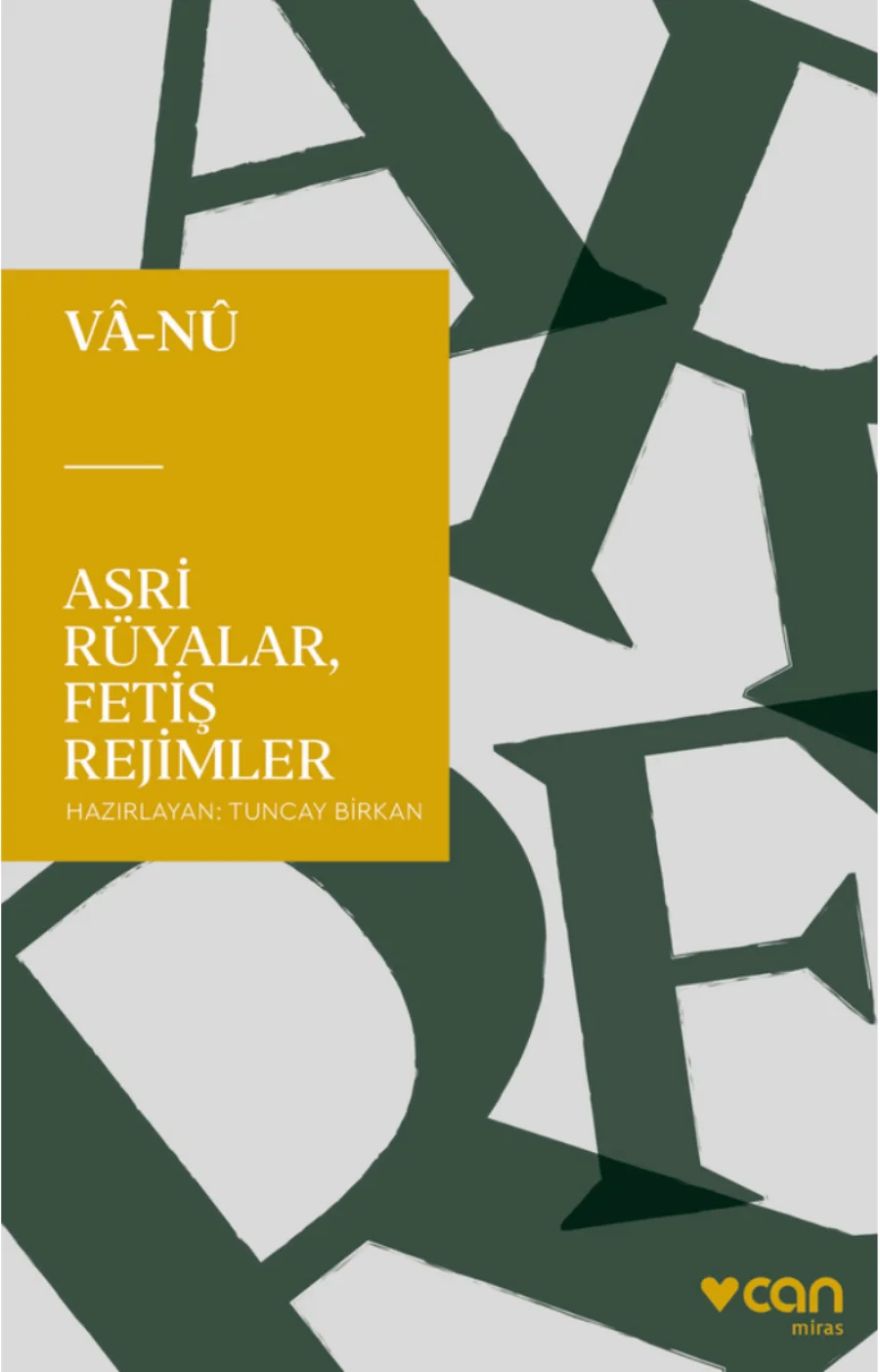 Asri Rüyalar Fetiş Rejimler kitap kapağı