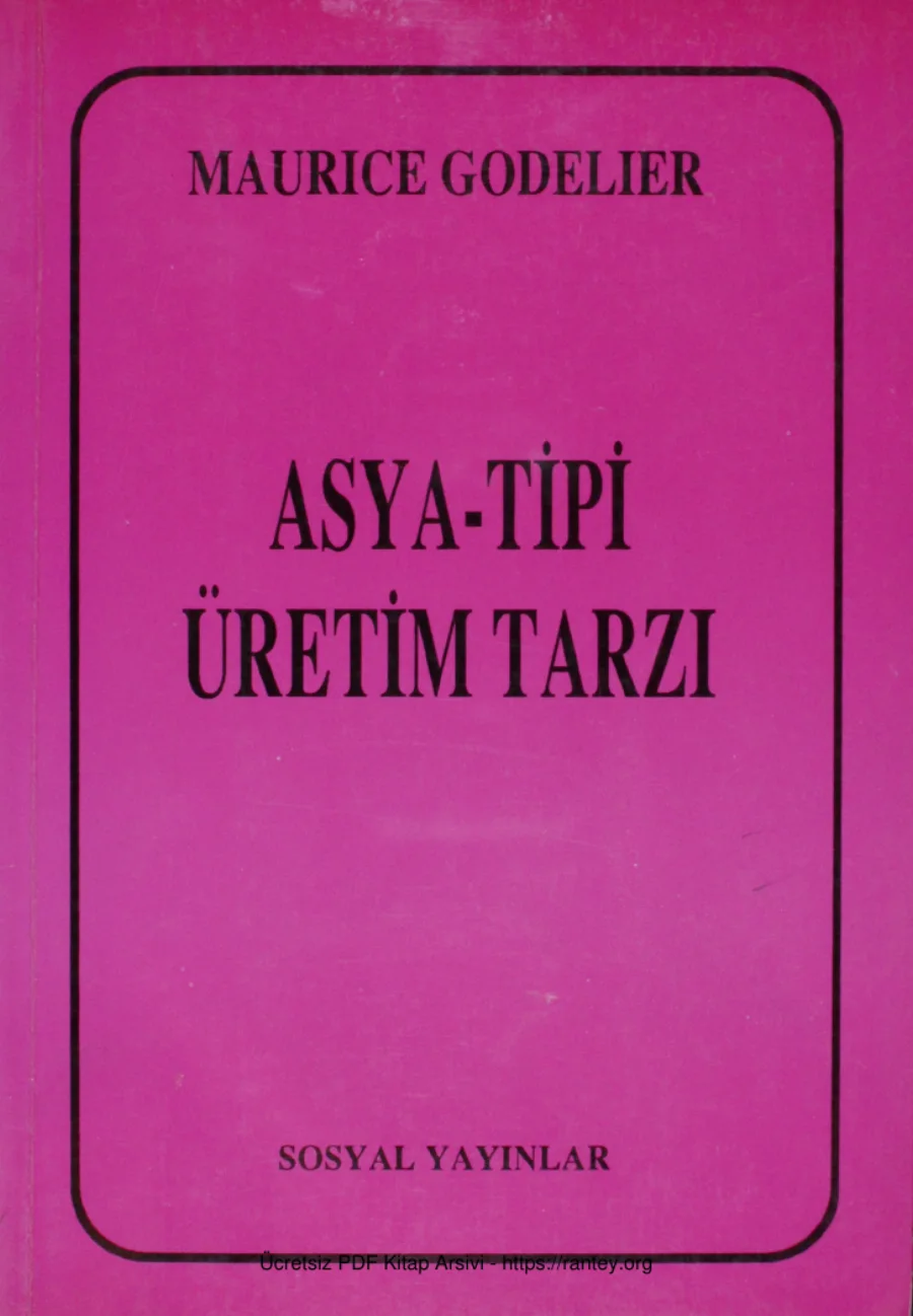 Asya Tipi Üretim Tarzı kapak görseli