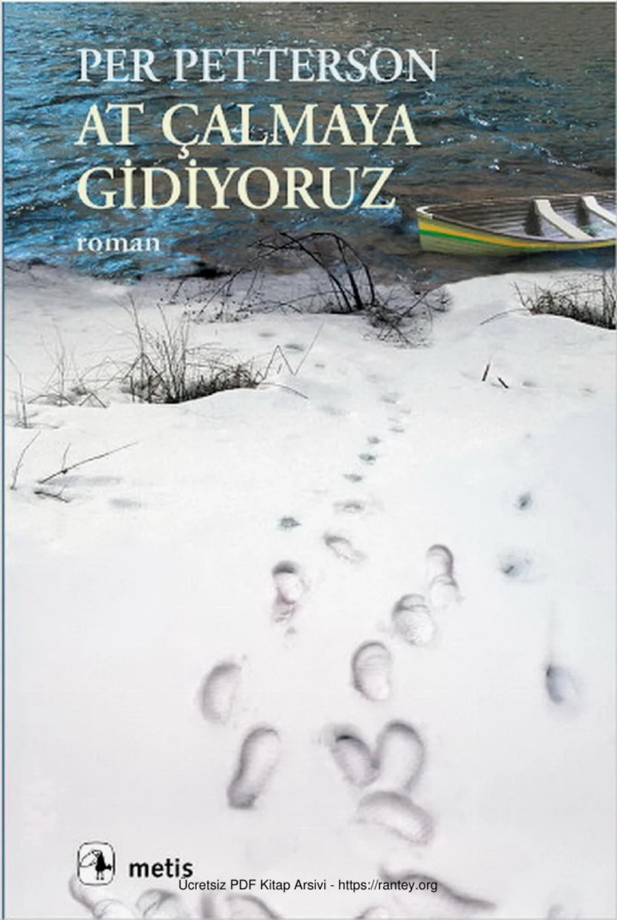 At Çalmaya Gidiyoruz kapak görseli