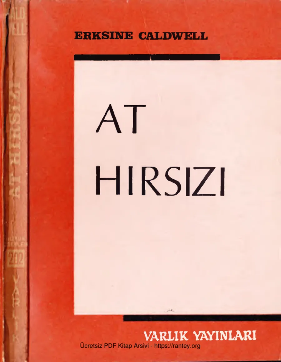At Hırsızı kapak görseli