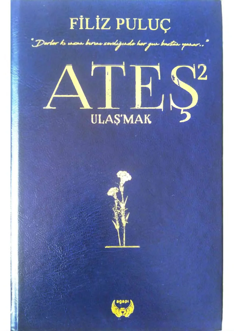 Ateş 2: Ulaşmak kapak görseli