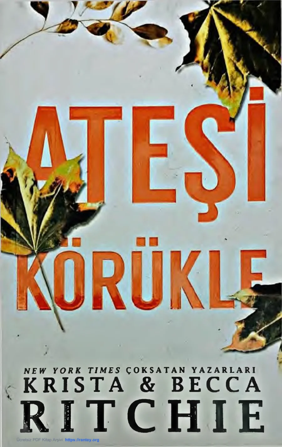 Ateşi Körükle kapak görseli