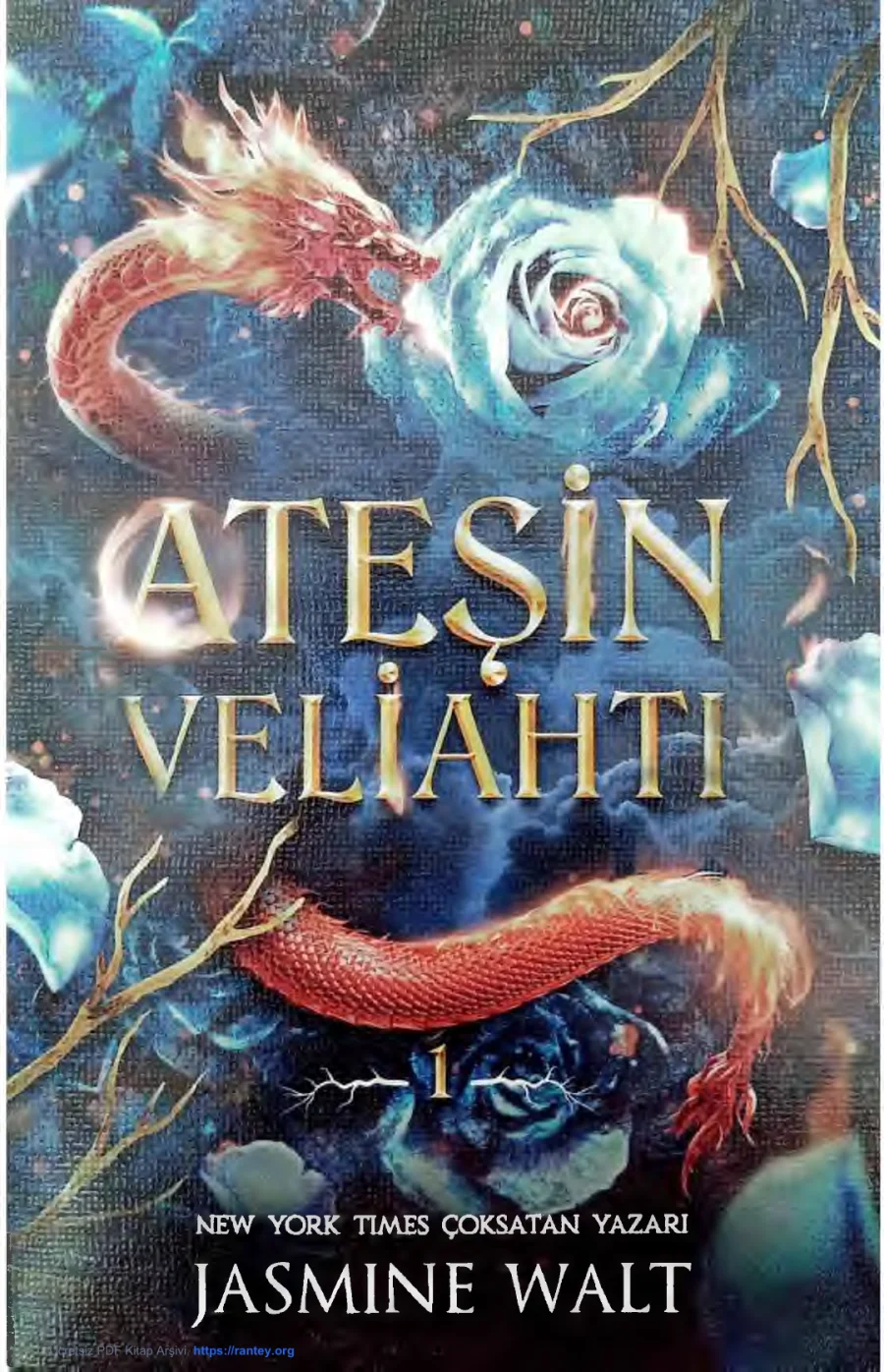 Ateşin Veliahtı kapak görseli