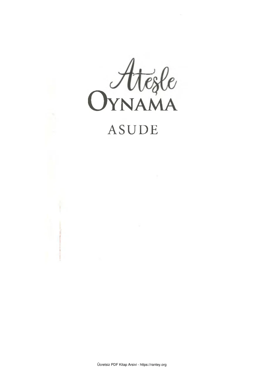 Ateşle Oynama kapak görseli