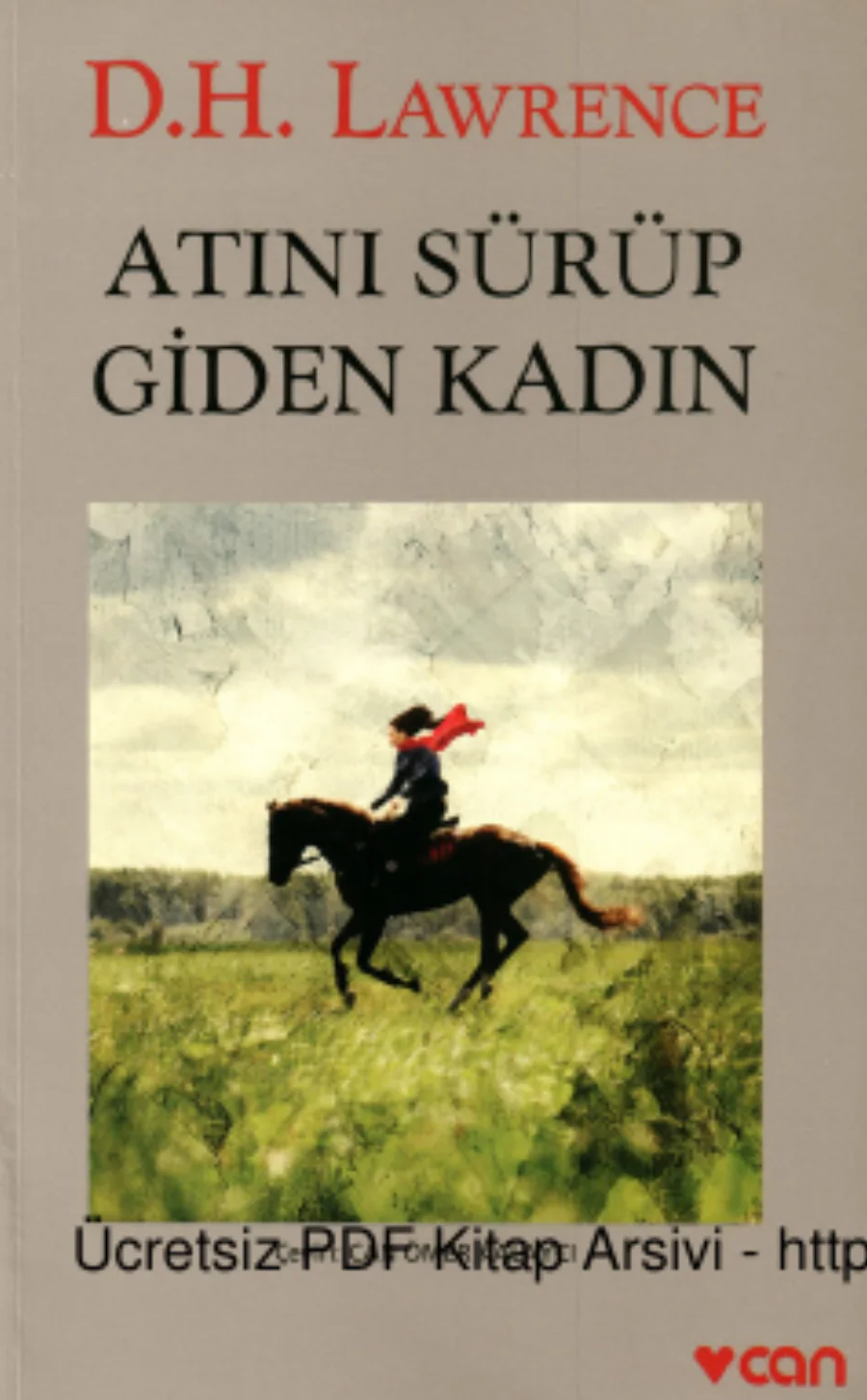 Atını Sürüp Giden Kadın kapak görseli