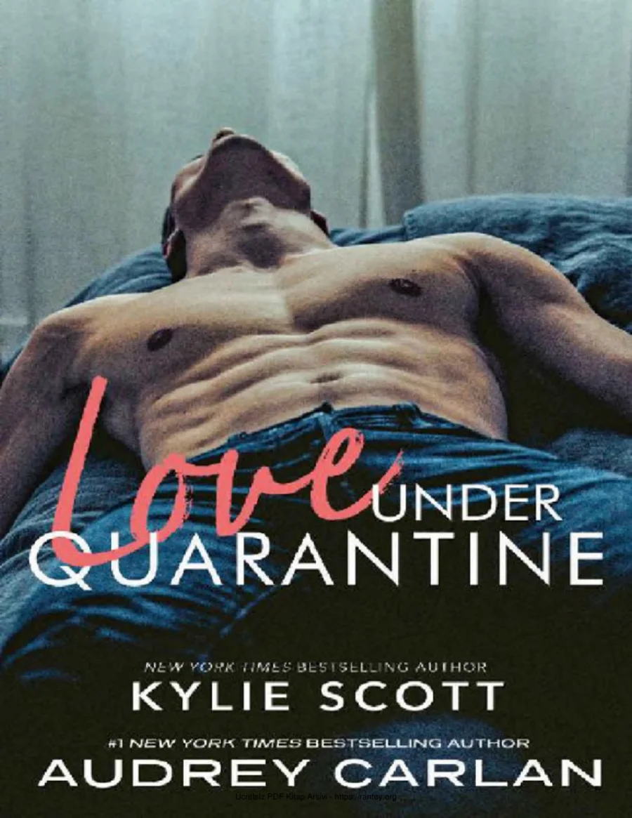 Audrey Carlan Love Under Quarantine kapak görseli