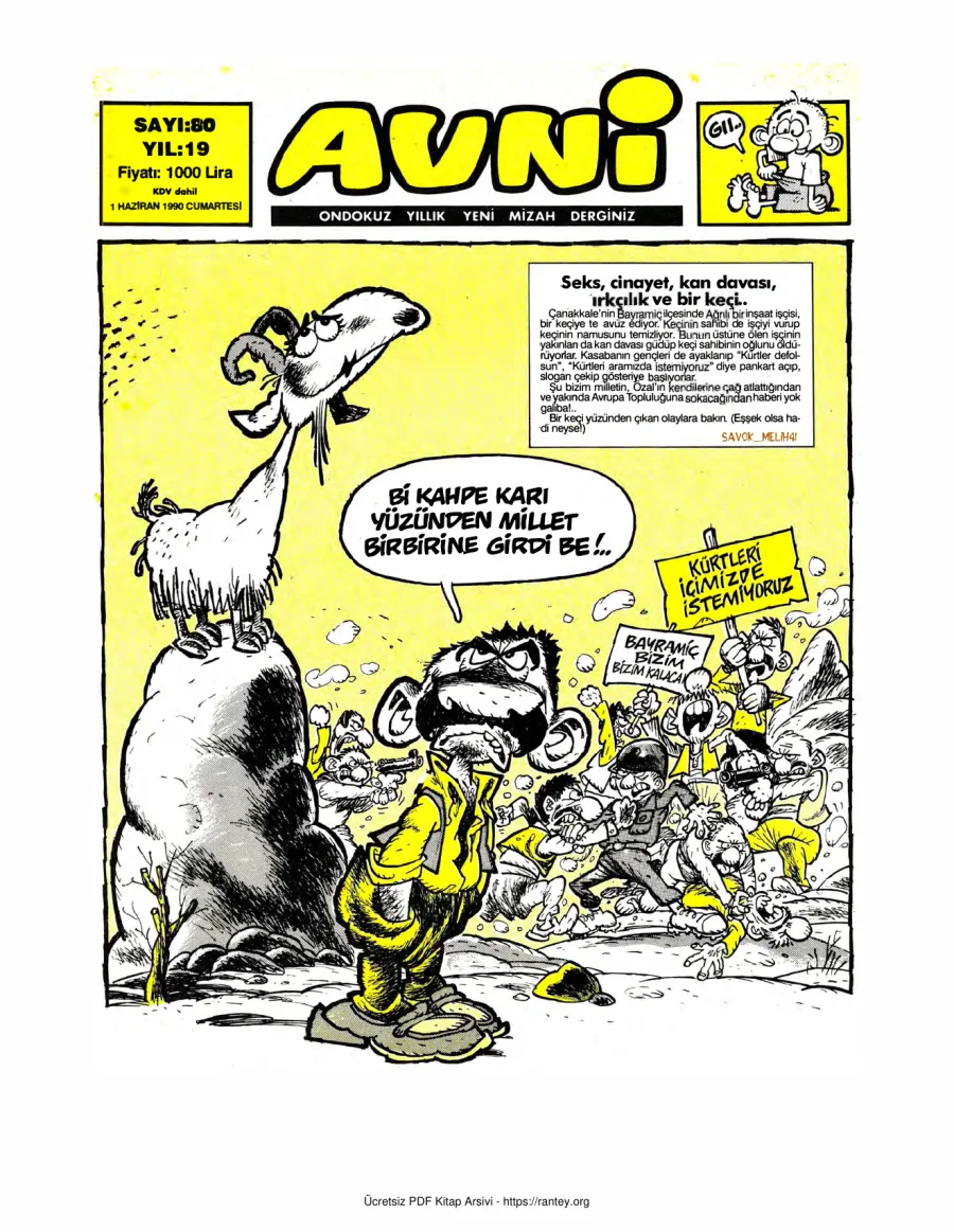 Avni Sayı 080 kitap kapağı
