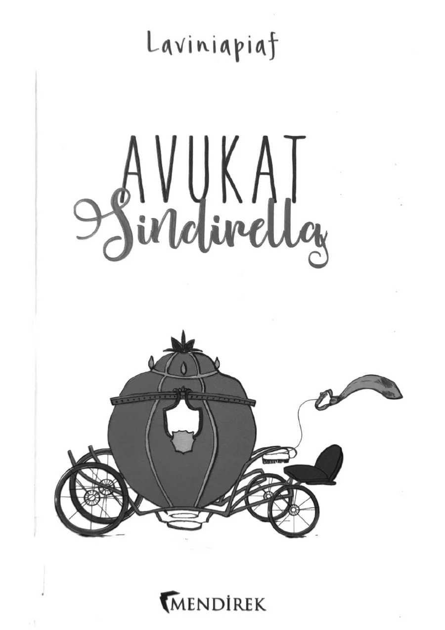 Avukat Sindirella kapak görseli