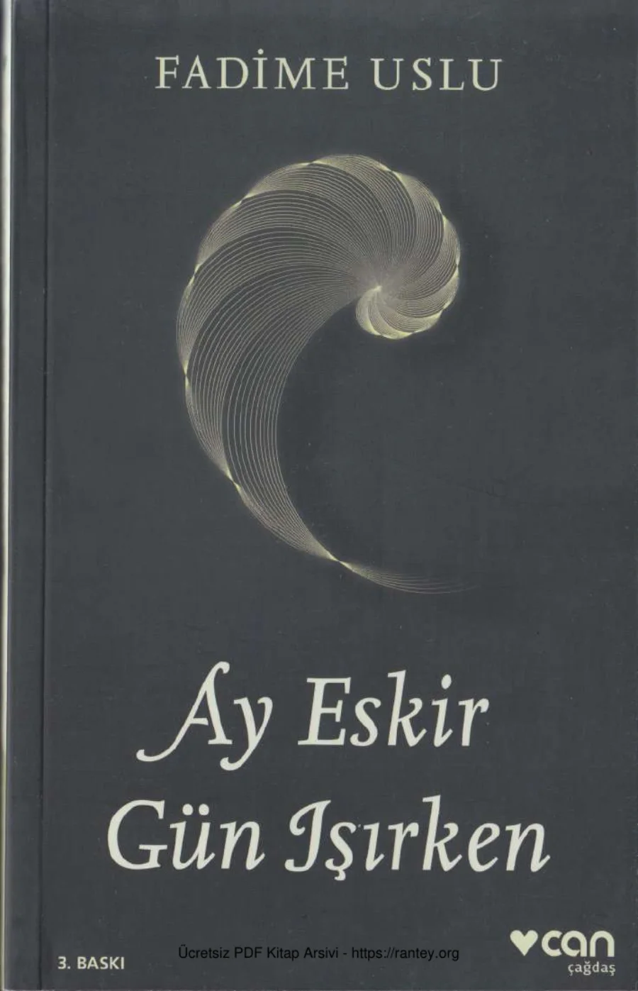 Ay Eskir Gün Işırken kapak görseli