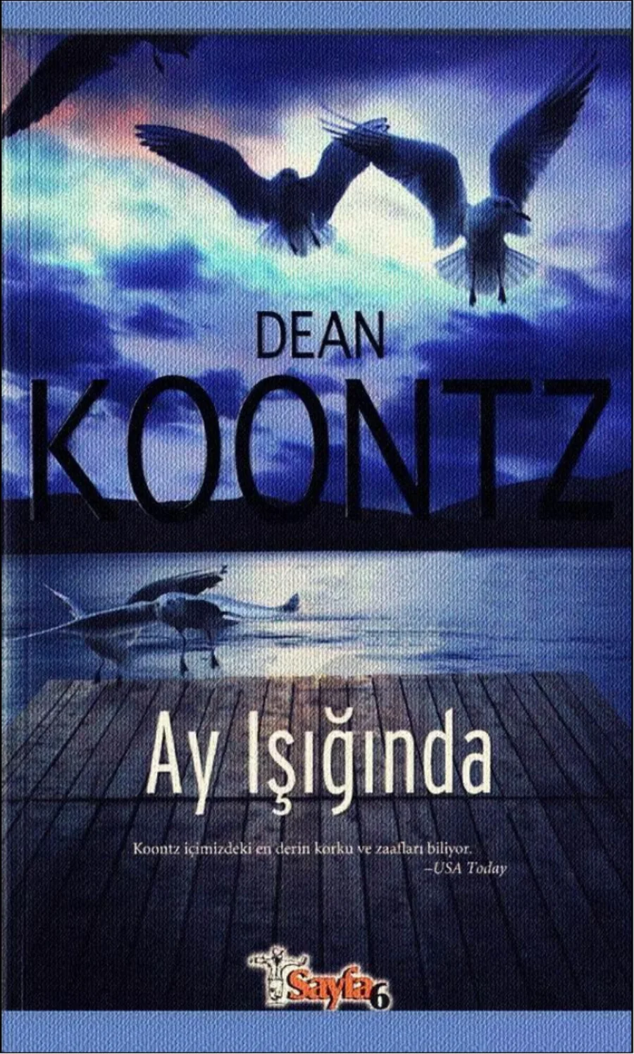 Ay Işığında kapak görseli