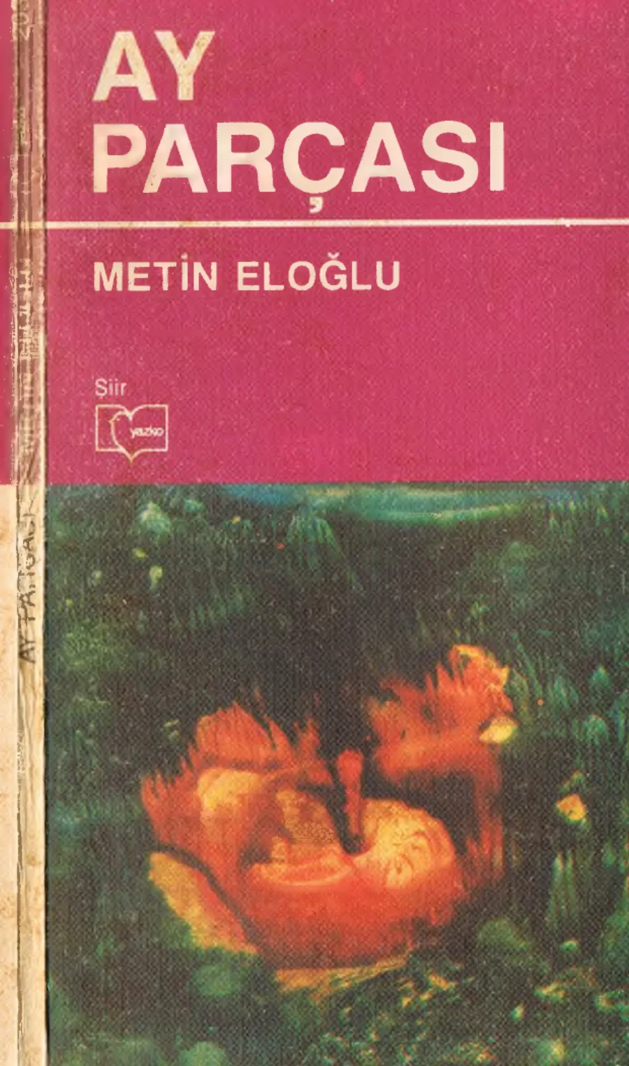 Ay Parçası kapak görseli