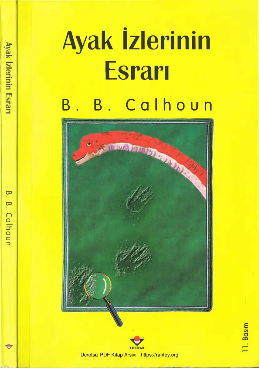 Ayak İzlerinin Esrarı kapak görseli