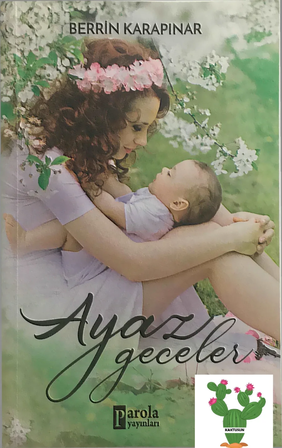 Ayaz Geceler kapak görseli
