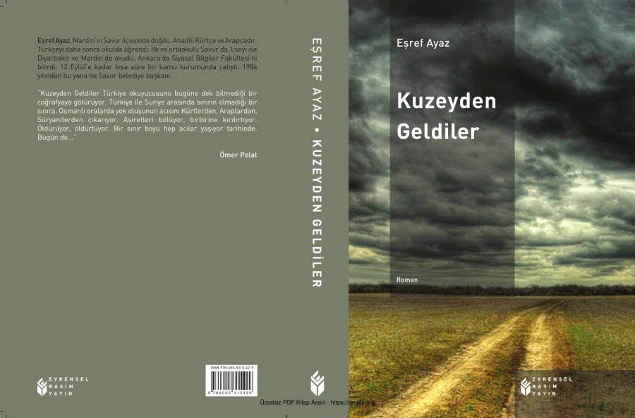 Ayaz Kuzeyden Geldiler kapak görseli