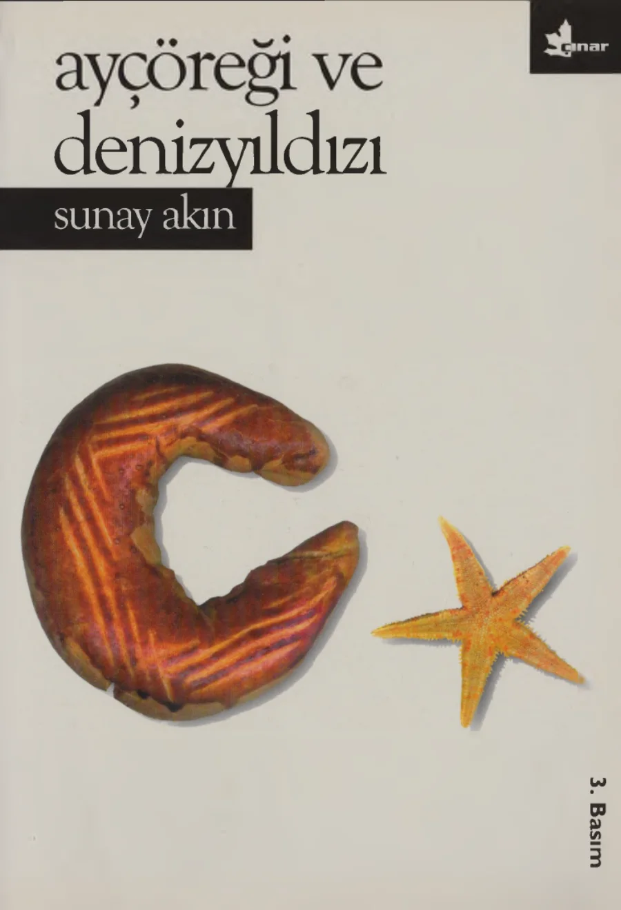 Ayçöreği ve Denizyıldızı kapak görseli