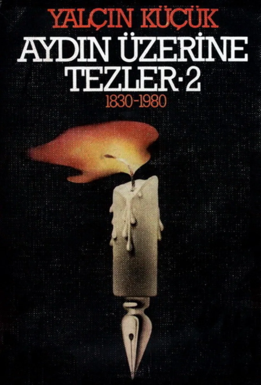 Aydın Üzerine Tezler 2 Tekin Yayınevi kapak görseli