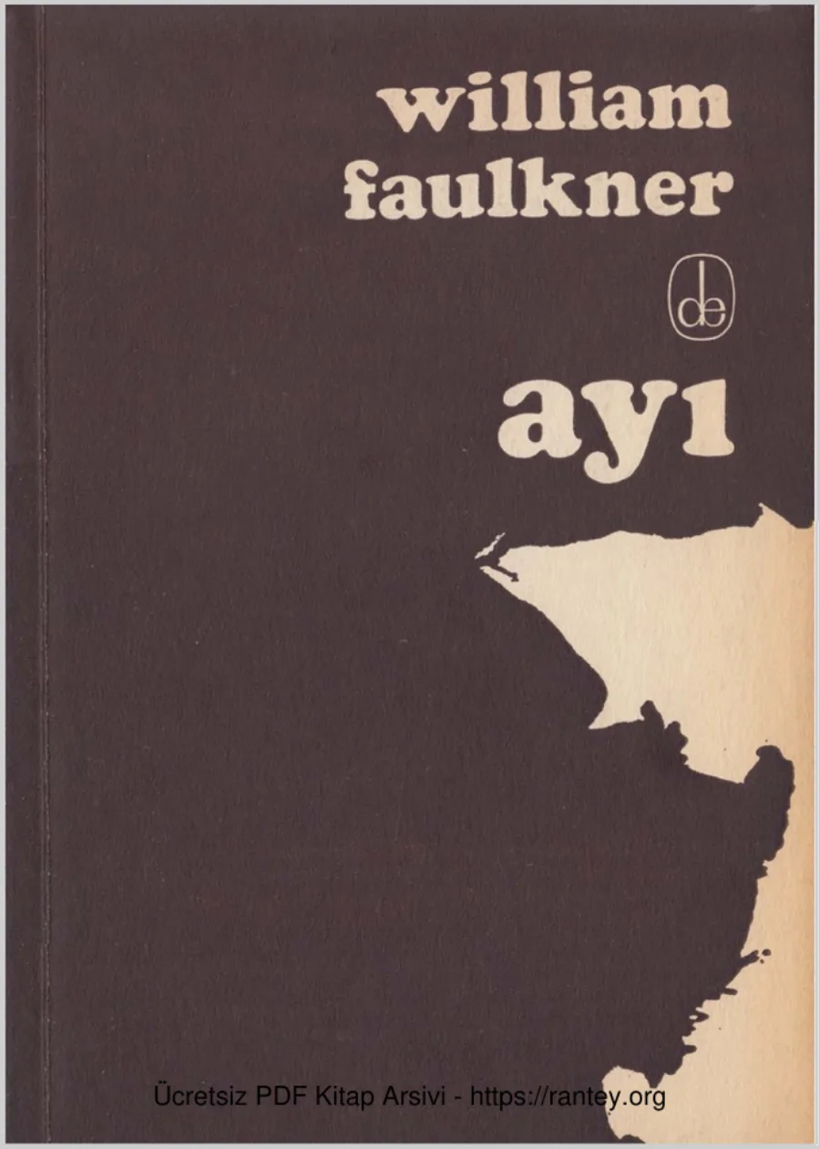 Ayı De Yayınları kapak görseli