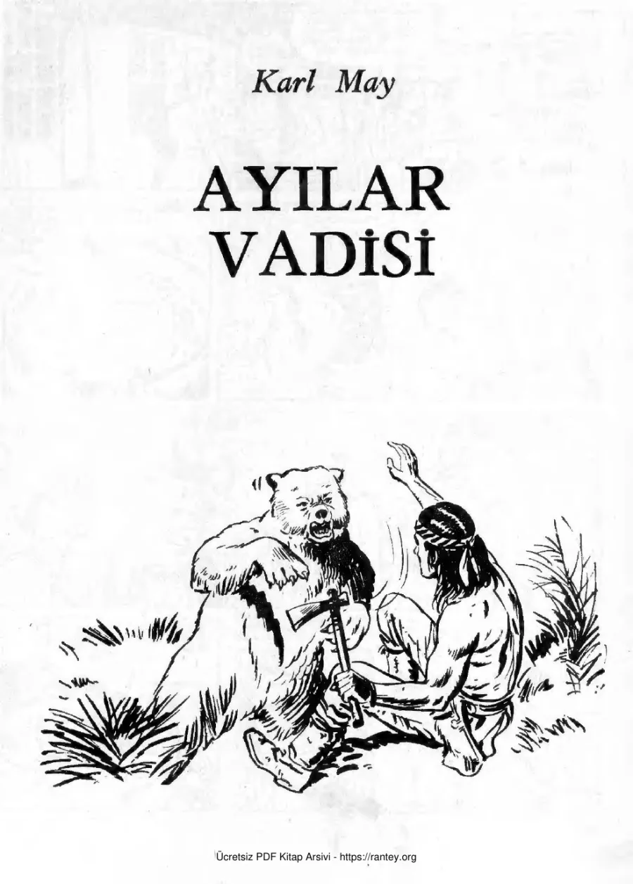 Ayılar Vadisi kapak görseli