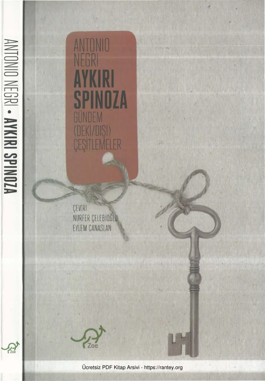Aykırı Spinoza Zoe Kitap kapak görseli