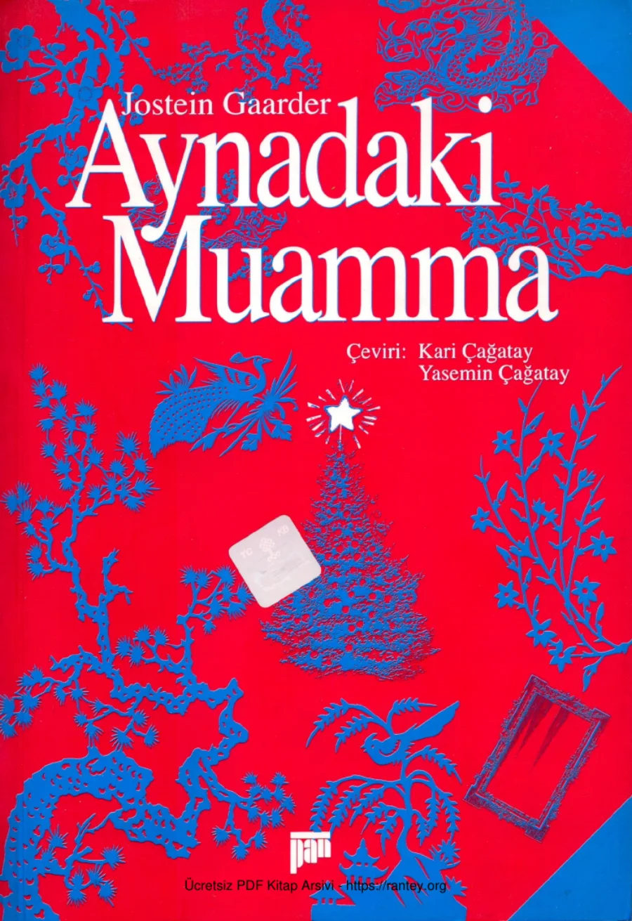 Aynadaki Muamma kapak görseli