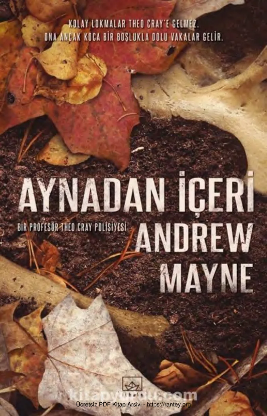 Aynadan İçeri kapak görseli