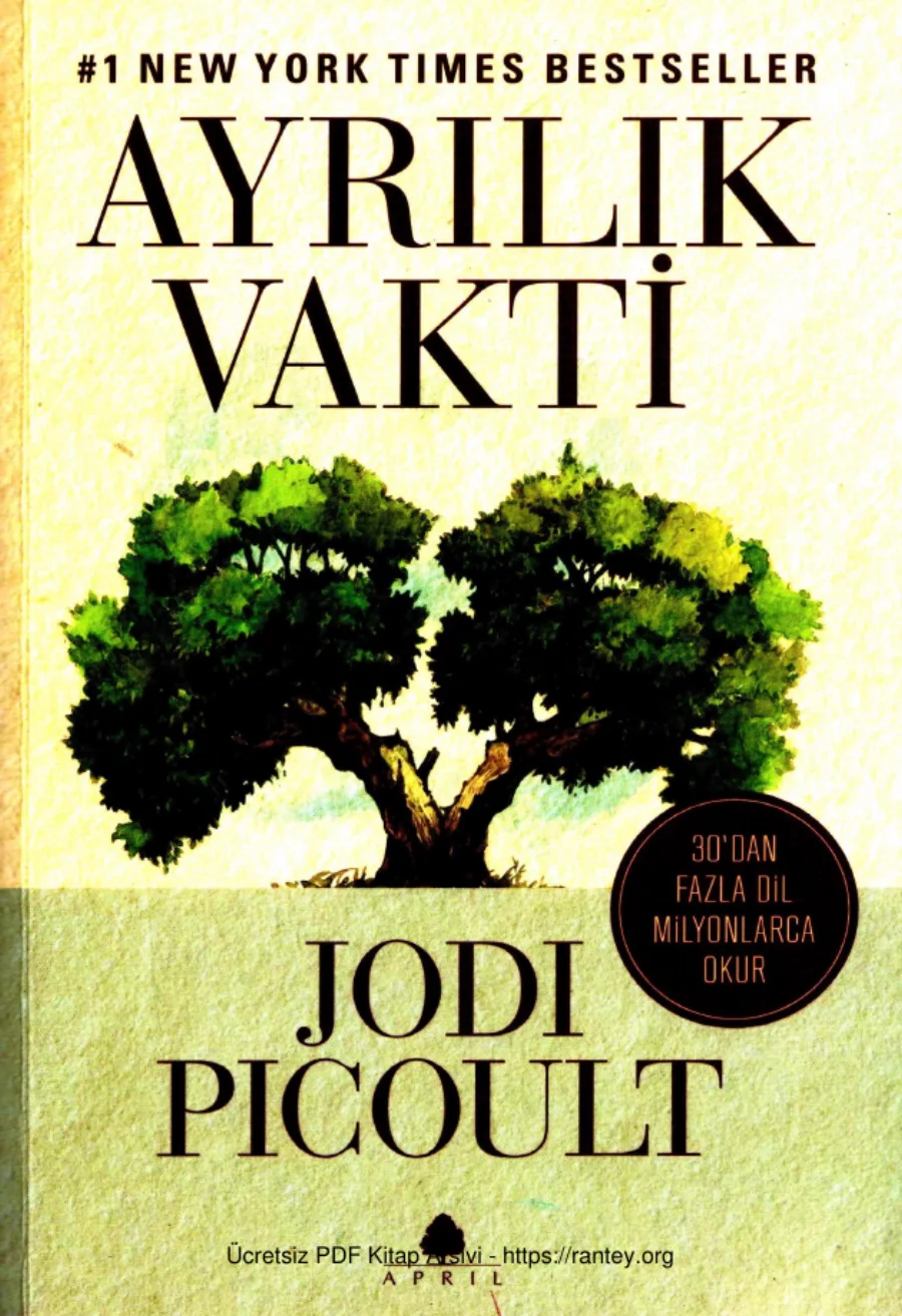 Ayrılık Vakti kapak görseli