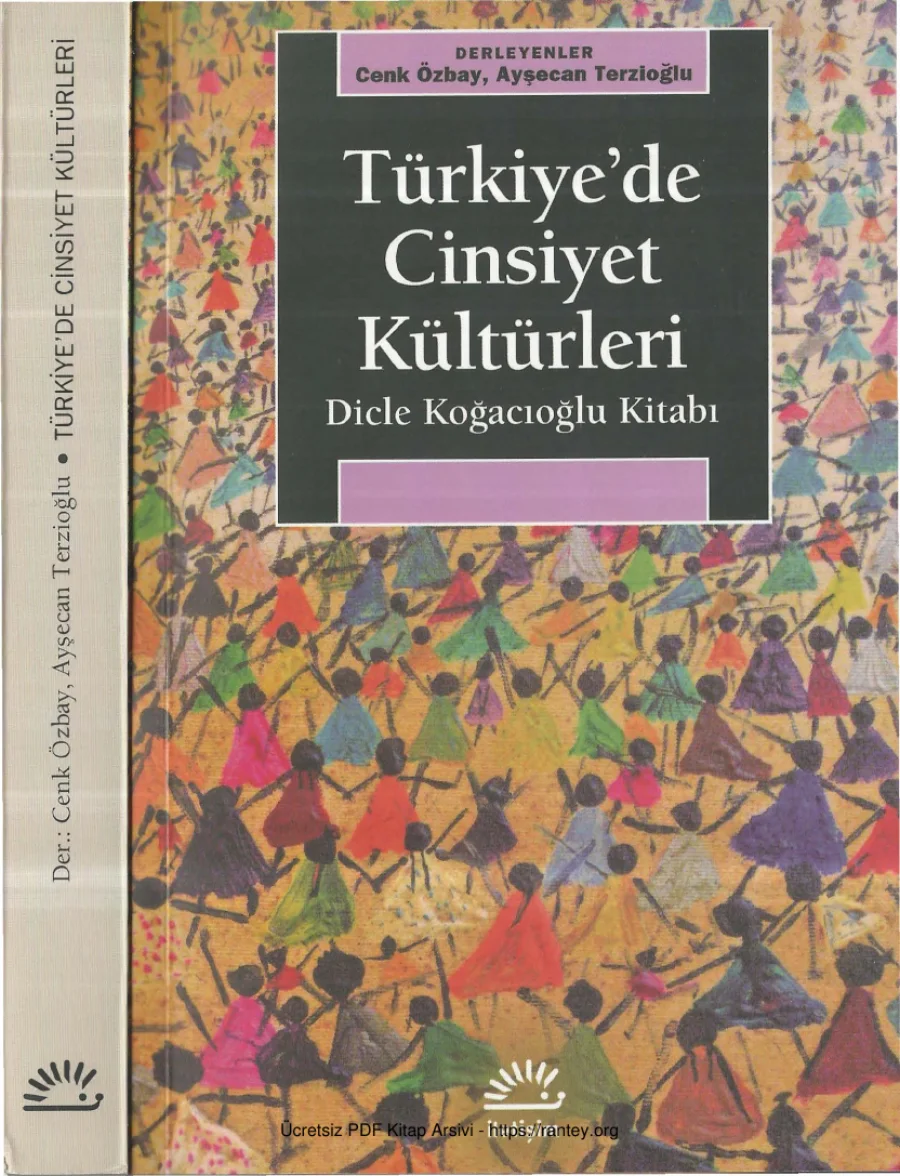 Ayşecan Terzioğlu Türkiyede Cinsiyet Kültürleri kapak görseli