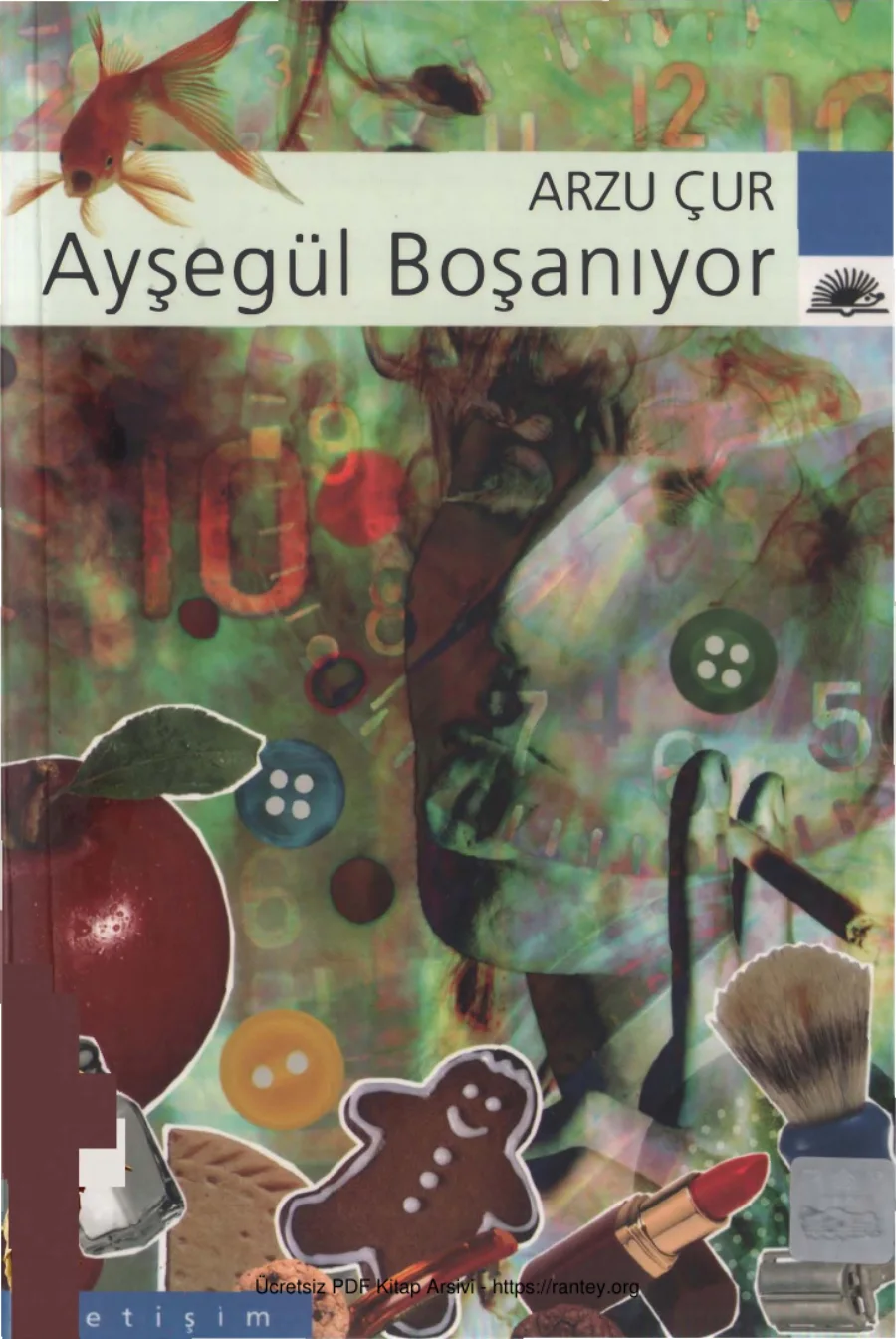 Ayşegül Boşanıyor kapak görseli