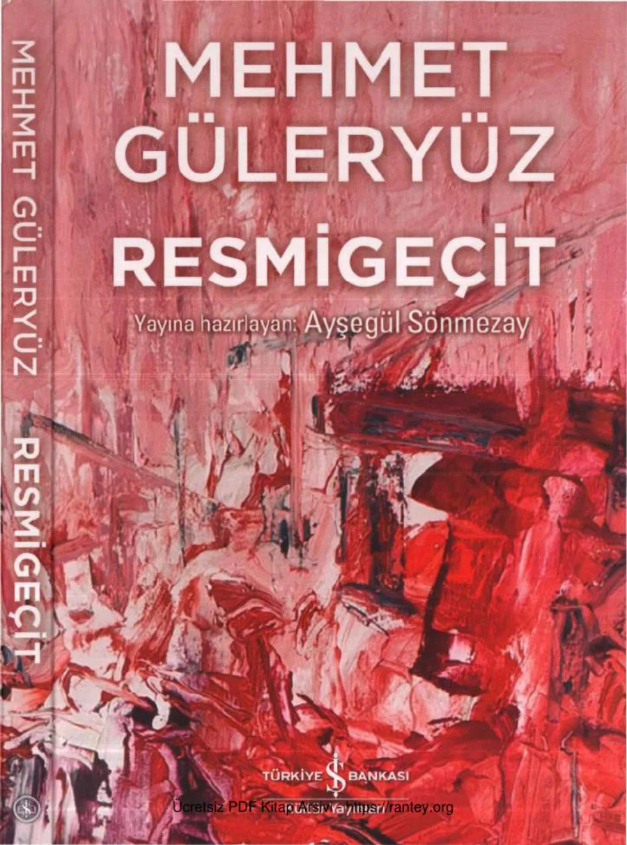 Ayşegül Sönmezay Mehmet Güleryüz Resmigeçit kapak görseli