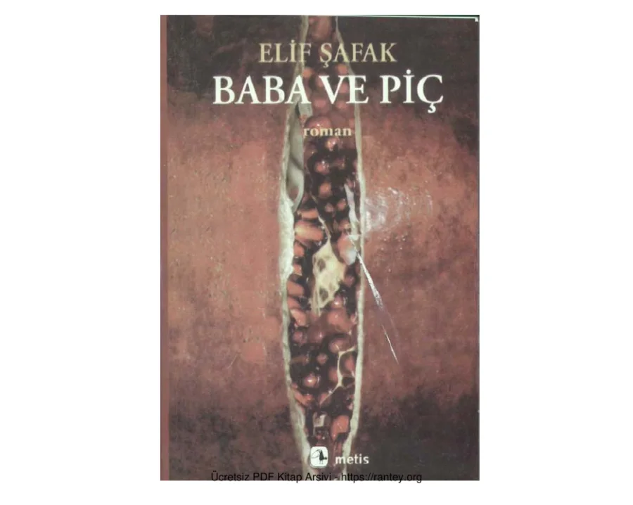 Baba Ve Piç kapak görseli