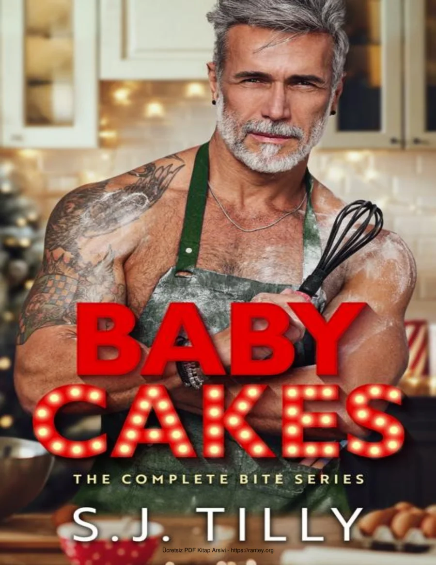 Baby Cakes The Complete Bite Series kapak görseli