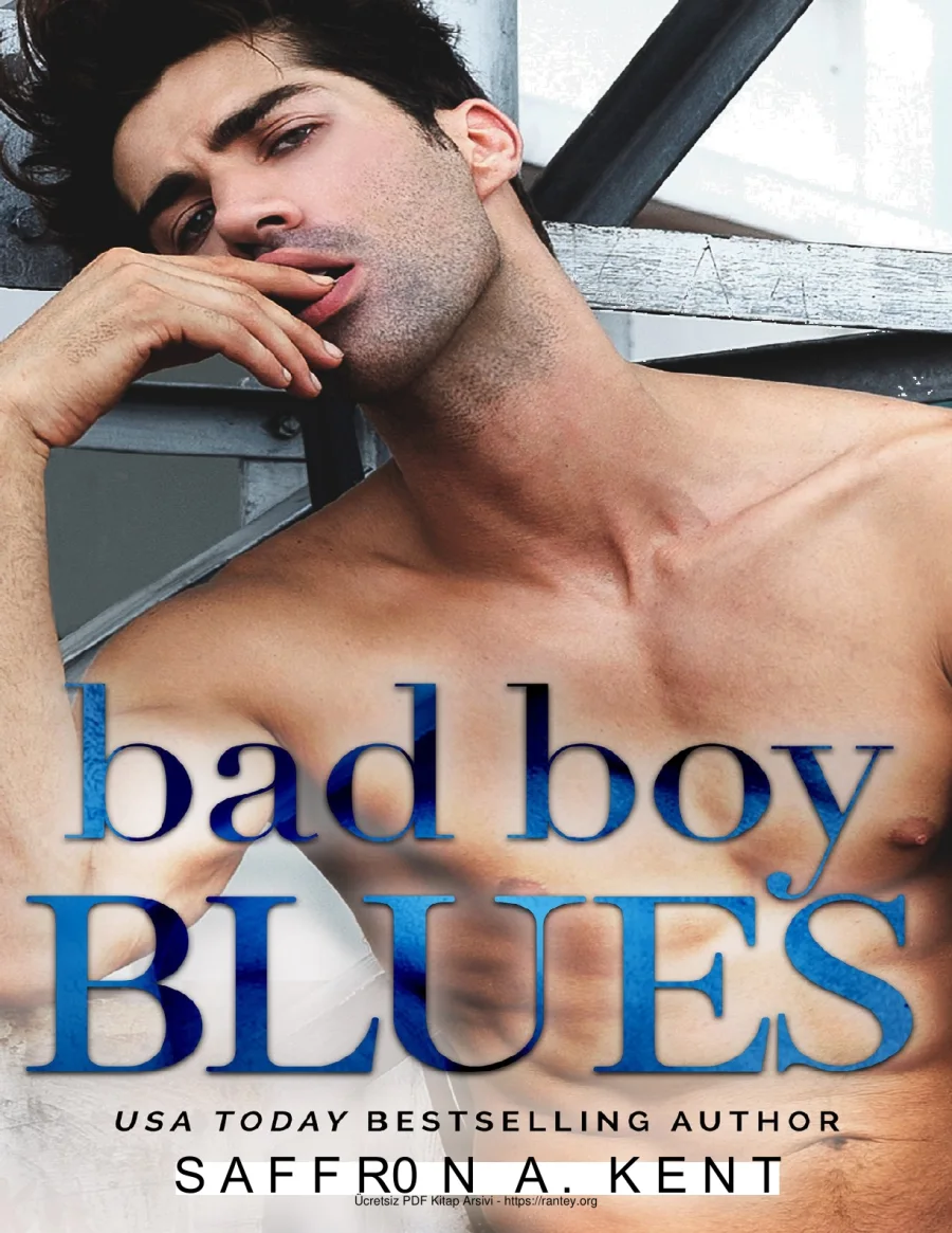 Bad Boy Blues kapak görseli