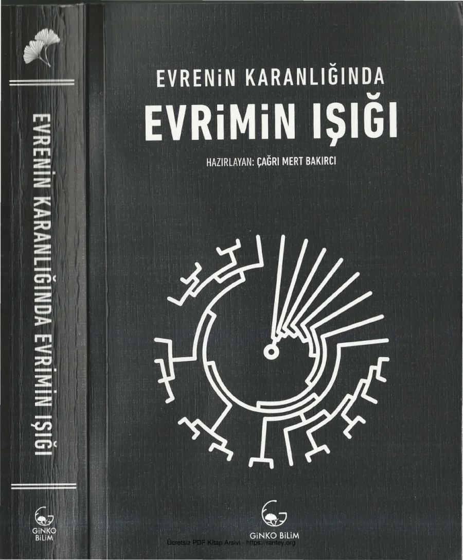 Bakırcı Evrenin Karanlığında Evrimin Işığı kapak görseli