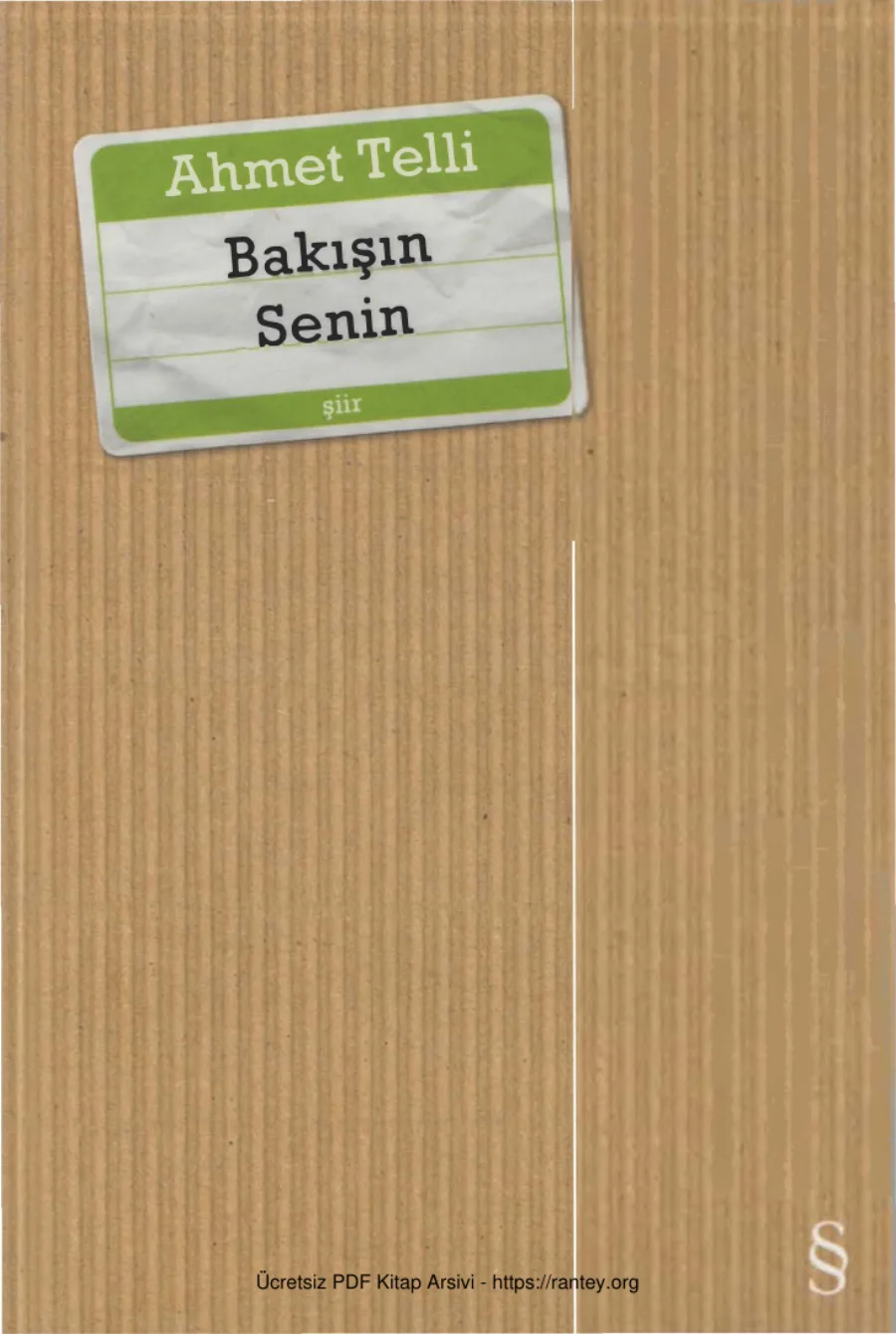 Bakışın Senin Everest Yayınları kapak görseli