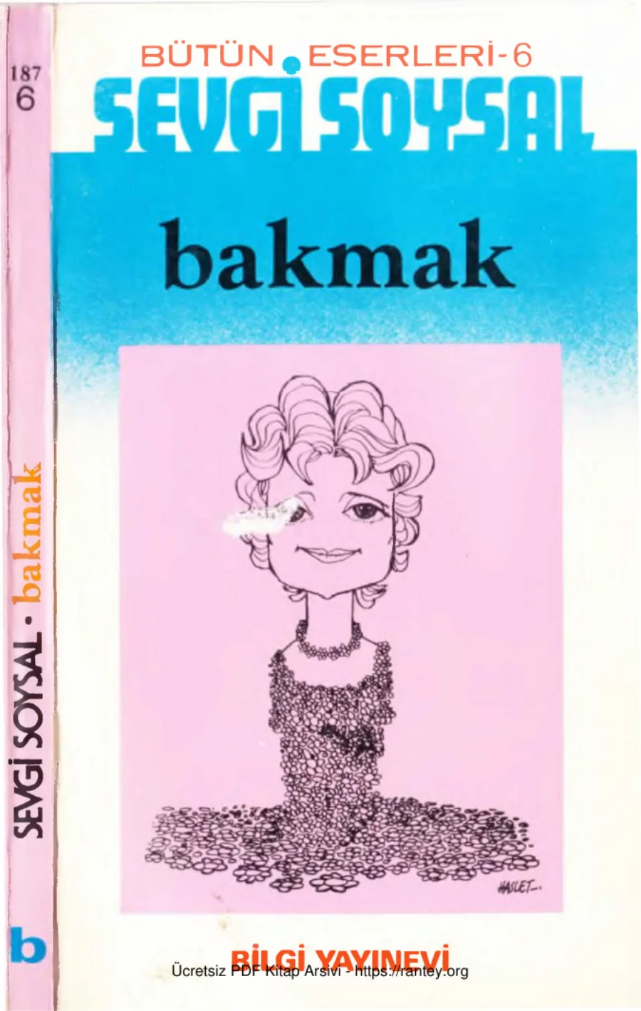 Bakmak Bilgi Yayınevi kapak görseli