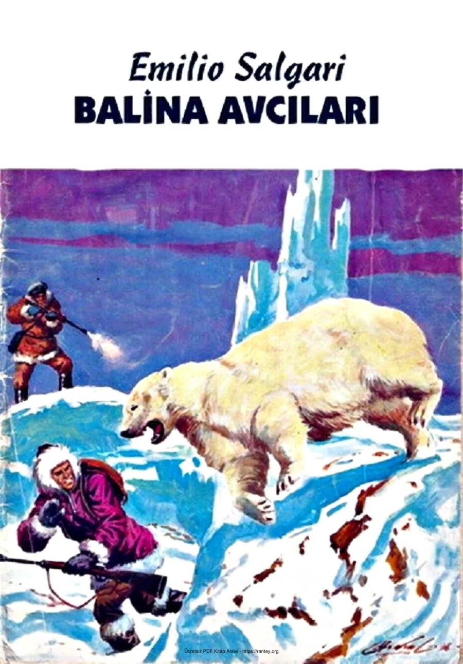 Balina Avcıları kapak görseli