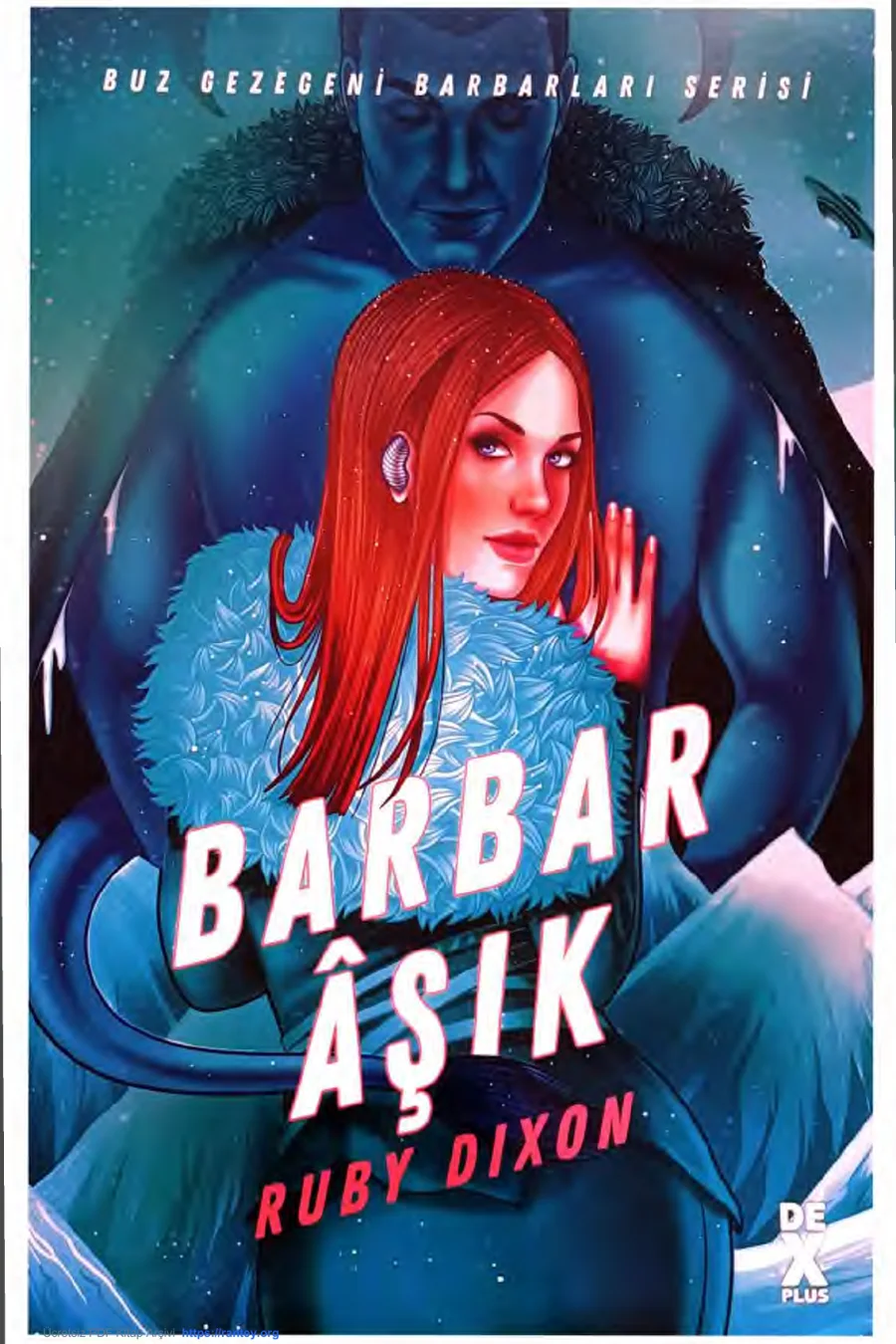 Barbar Âşık kapak görseli