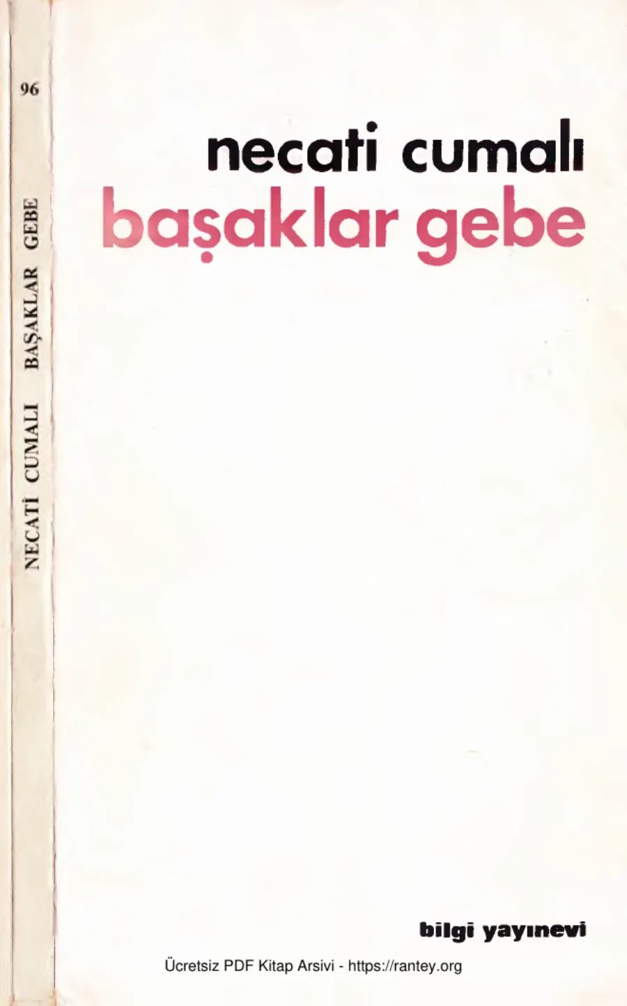 Başaklar Gebe kapak görseli
