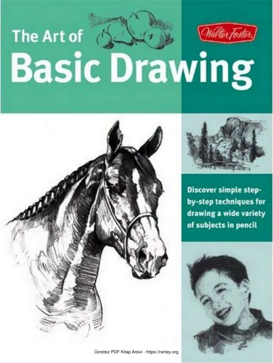 Basic Drawing by Walter Foster Creative Team kapak görseli