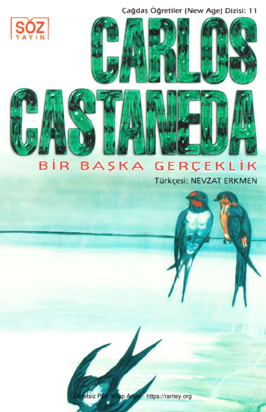 Başka Gerçeklik Söz Yayınları kapak görseli