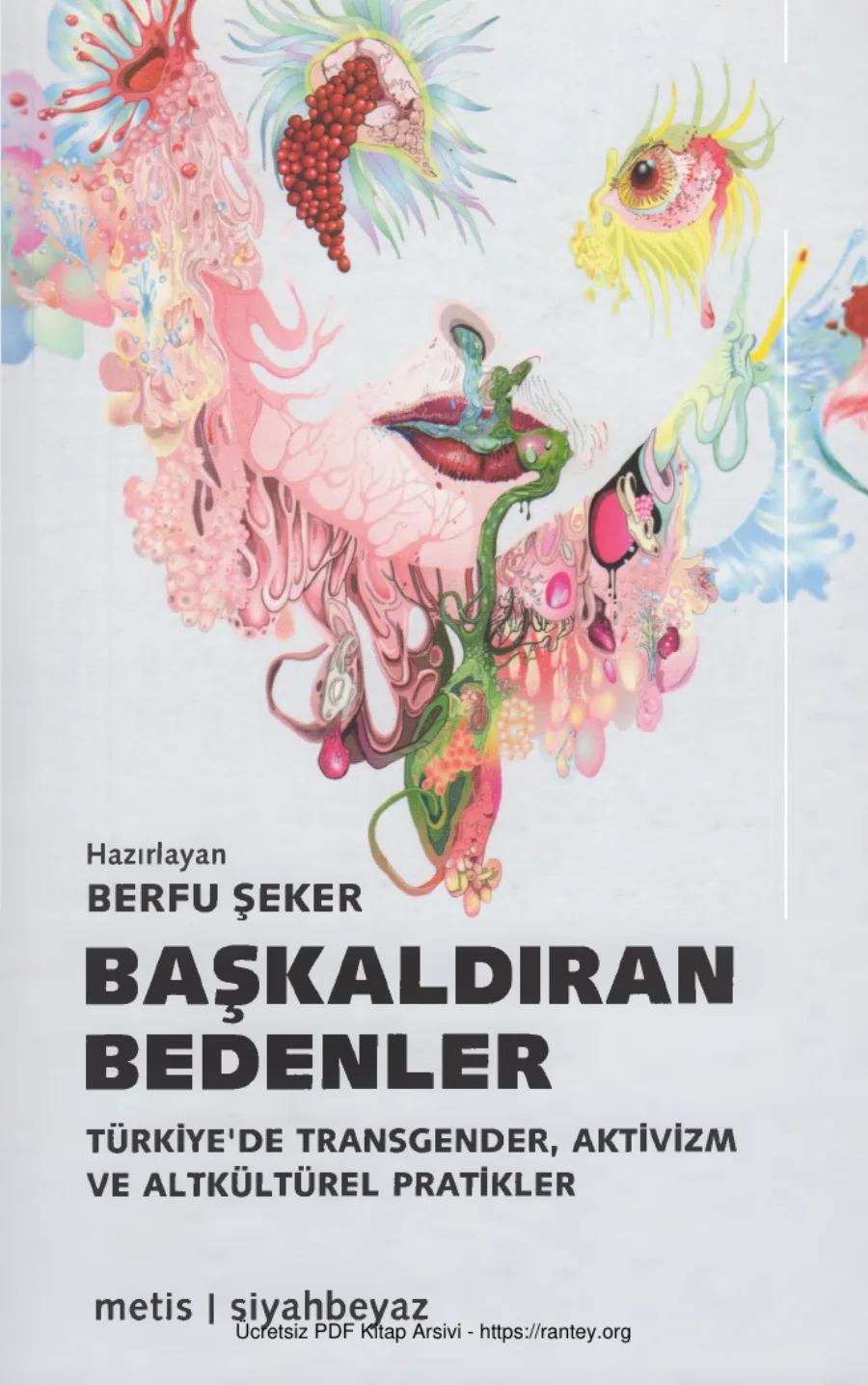 Başkaldıran Bedenler Türkiyede Transgender Aktivizm ve Altkültürel Pratikler kapak görseli