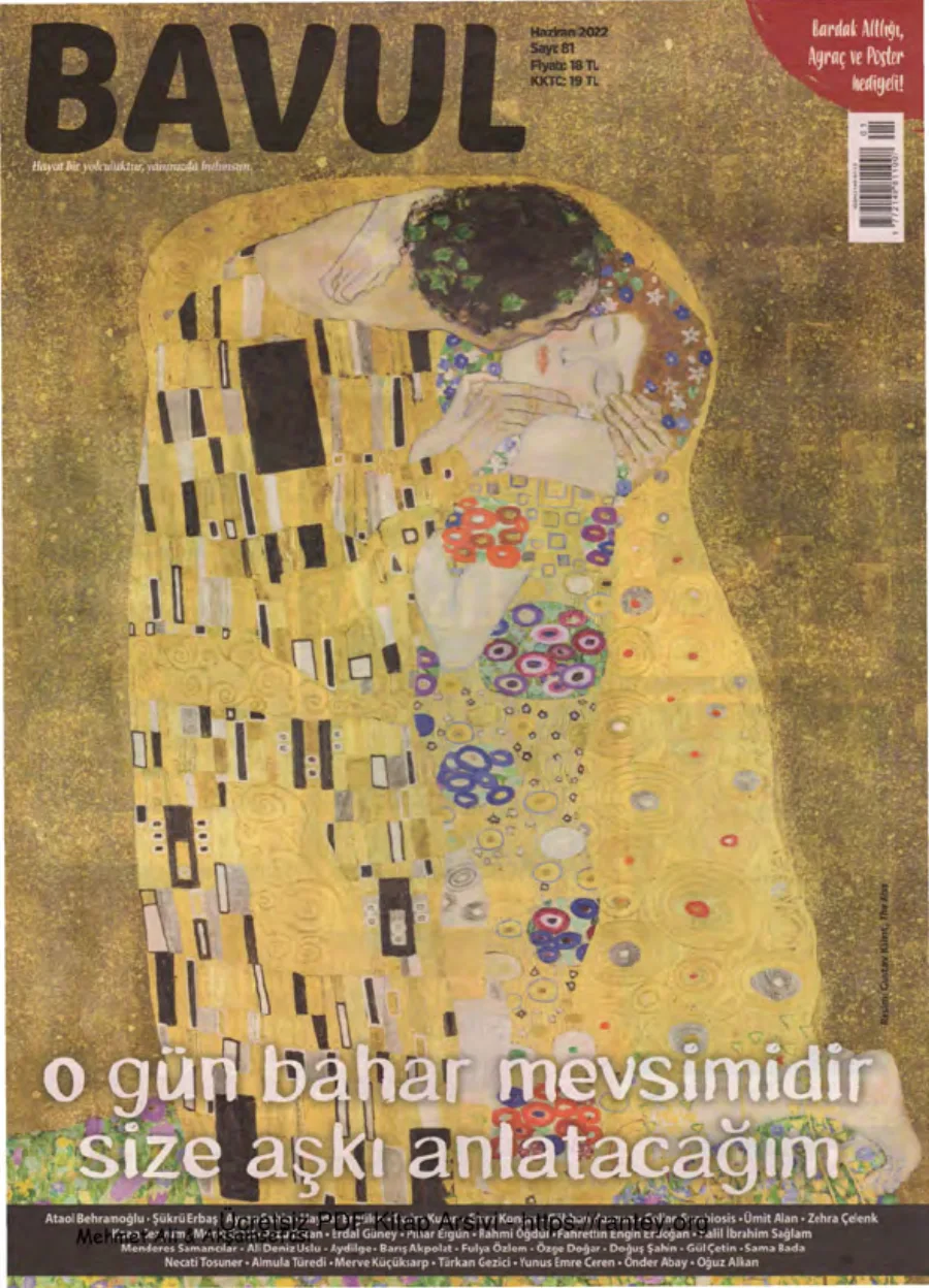 Bavul Sayı 081 kitap kapağı
