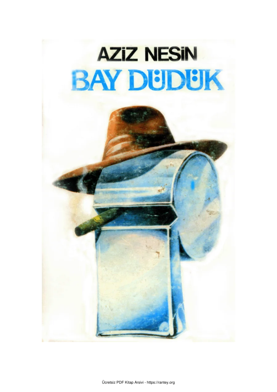 Bay Düdükekitap kapak görseli