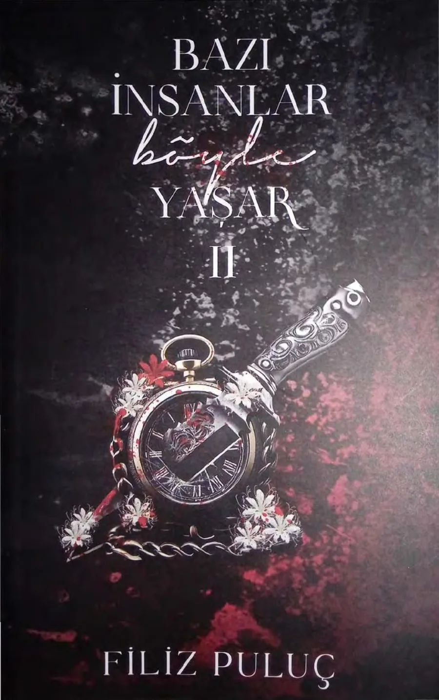 Bazı İnsanlar Böyle Yaşar 2 kapak görseli