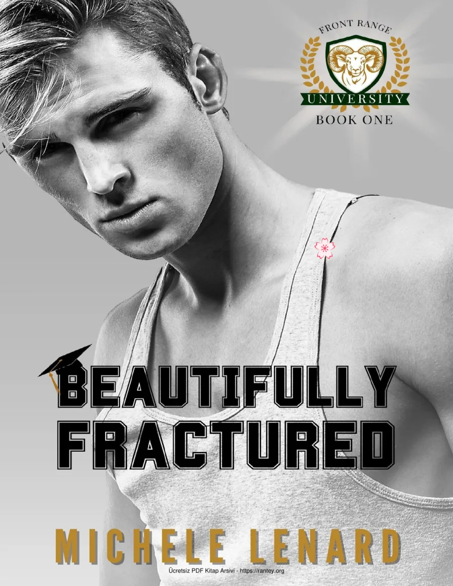 Beautifully Fractured kapak görseli